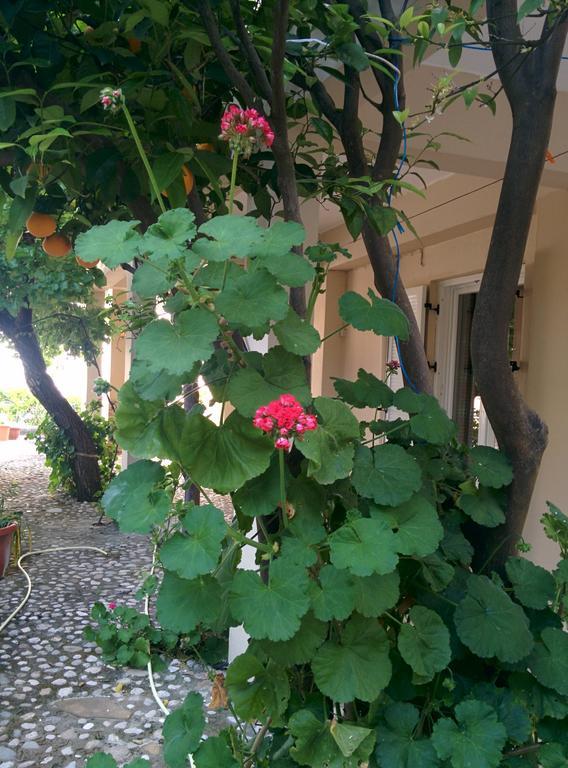 Varagoulis Giannis & Lenas Apartments Paramonas  Exterior foto